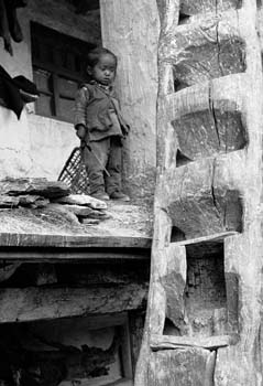 BoyByLadder