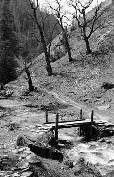 UraBridge
