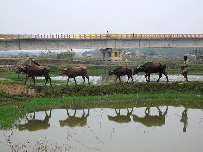 The region is built on the world’s largest river delta, and water is everywhere. Widespread poverty, soft sediments and rapidly multiplying infrastructure including bridges like this one near the southern city of Khulna make the region exquisitely vulnerable to earthquakes. (Kevin Krajick/Lamont-Doherty Earth Observatory)