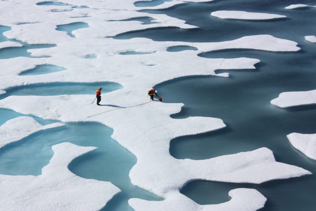 Arctic summer sea ice could disappear by 2050. Photo: NASA Goddard Space Flight Center