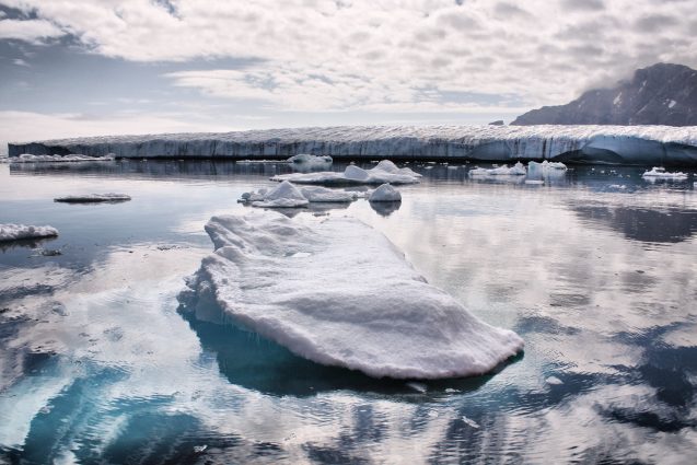 The Greenland ice sheet is melting. Photo: Christine Zenino