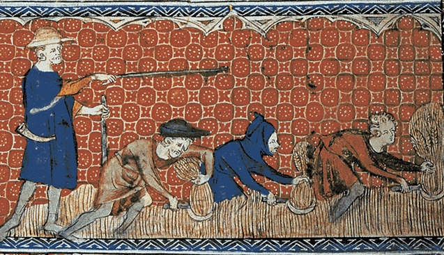 Numerous droughts have hit European agriculture over the ages, but their overall extent has been known mainly from scattered historical documents. Here, an English calendar page, circa 1310, shows men harvesting wheat. (Queen Mary’s Psalter, Wikimedia commons)