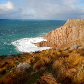 Meeting the Moment: Earth Day 2021