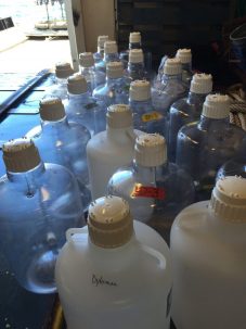 20 liter carboys lined up on the deck of the R/V Kilo Moana, waiting to be filled with sea water from the North Pacific Subtropical Gyre. Photo: Kyle Frischkorn bottles to be filled with sea water