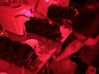 The resolution of this project was made possible by sampling every 4 hours for 4 days. During night, all samples were handled under red light so as not to alter the photochemistry of the phytoplankton. Photo: Kyle Frischkorn samples under red light
