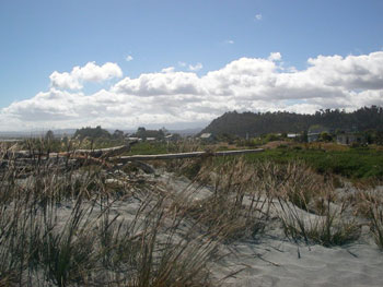 The beach at Okarito Village