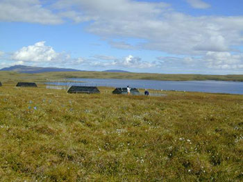 View of Toolik Lake