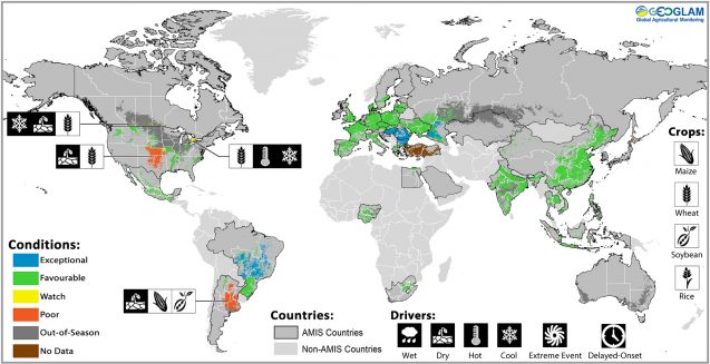 Wheat, maize and soy yield anomalies for May 2018. Source: GEOGLAM crop monitor crop yield anomalies for la nina 2018
