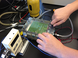 A custom-built instrument measures the rate at which a detached leaf respires as temperature is increased. (Kevin Griffin/Lamont-Doherty Earth Observatory)