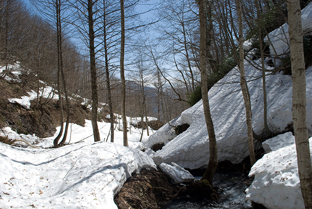 Snowpack in the Lesser Caucasus mountains of northeastern Turkey, elevation about 2,700 feet, late April 2012. The lowlands below depend heavily on seasonal snowmelt, projected to decline in this region and others in coming decades, due to global warming. (Courtesy Dario Martin-Benito)