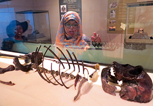 At Nairobi's Kenya National Museum, two Homo sapiens visit the remain of Turkana Boy, a member of the human precursor species Homo erectus.