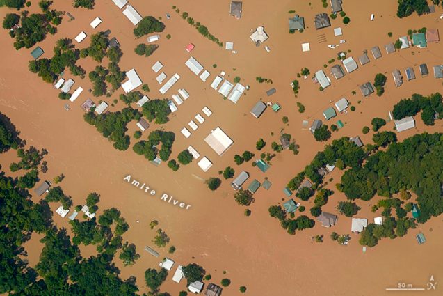 Flooding this week near Port Vincent, Louisiana. Photo: NASA<br />