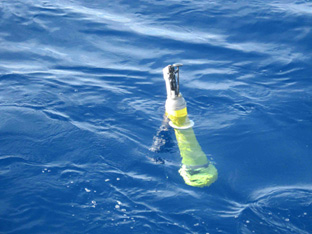 An array of Argo floats like this one is used to measure ocean temperature and salinity. Photo: NASA