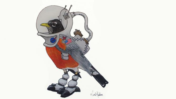 A space robin mascot. Drawing by Nicole Krikun