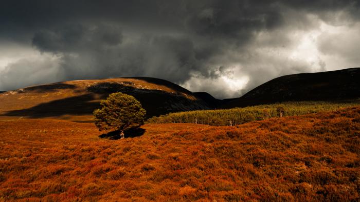 A storm rises over dry fields and forest. Photo: Gary Crawford/CC-BY-2.0