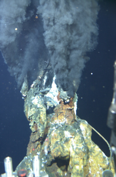 A vent spews chemical fluids from the East Pacific Rise, about 5,600 miles from newly suspected vents on the Pacific Antarctic Ridge