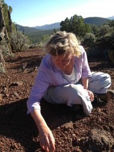 Plank collecting volcanic crystals near the Grand Canyon