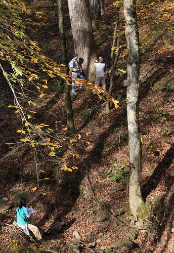 Researchers in southern Appalachia investigate a tulip poplar tree thought to be about 300 years old.