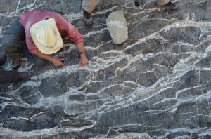 Rocks brought from earth’s mantle react rapidly with carbon dioxide at the surface, producing these whitish veins.