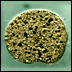 A Placozoan
