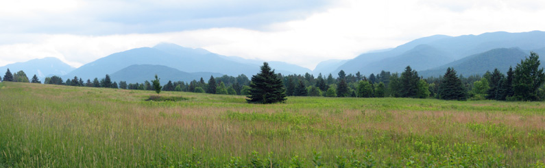 View of Mount Algonquin