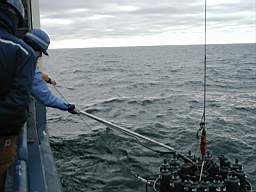 P1050023.JPG