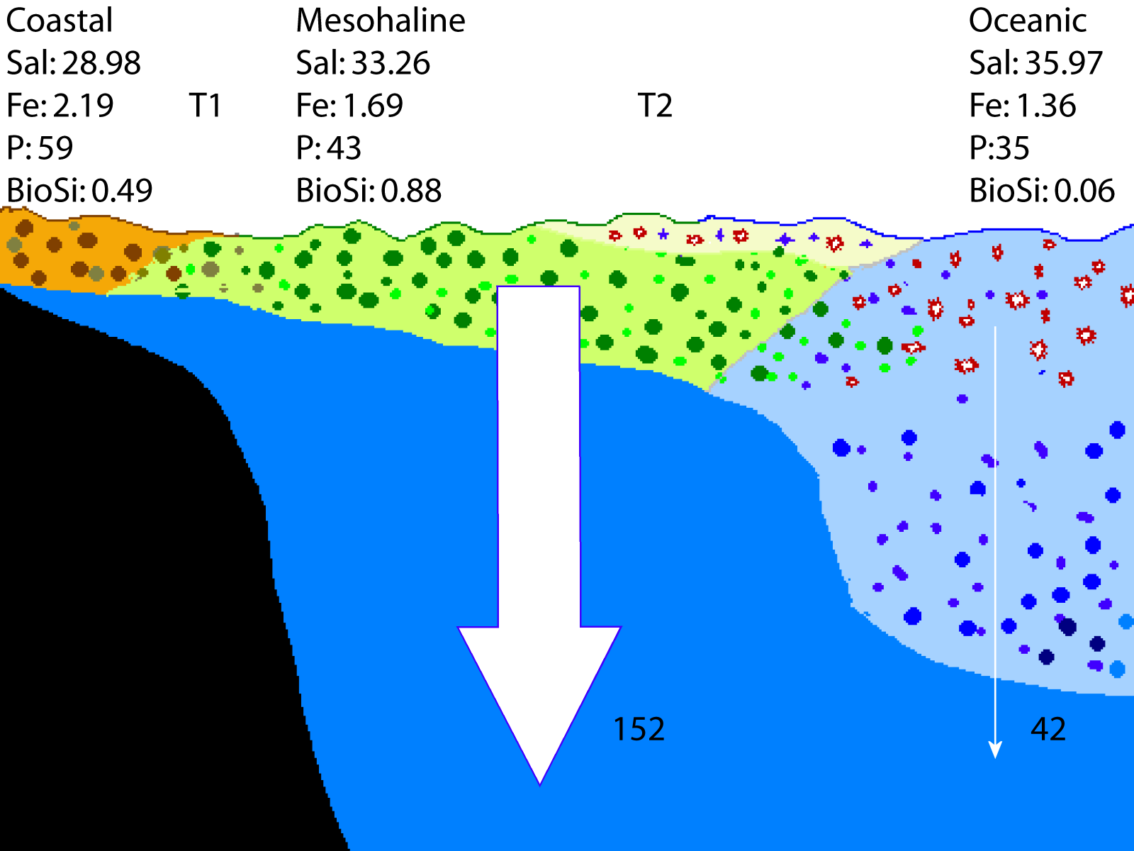 Figure depicting the changes along the plume