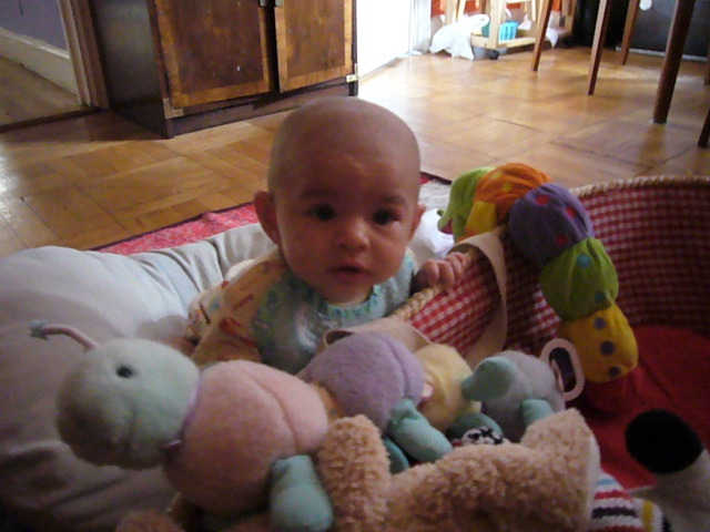 P1010184.JPG