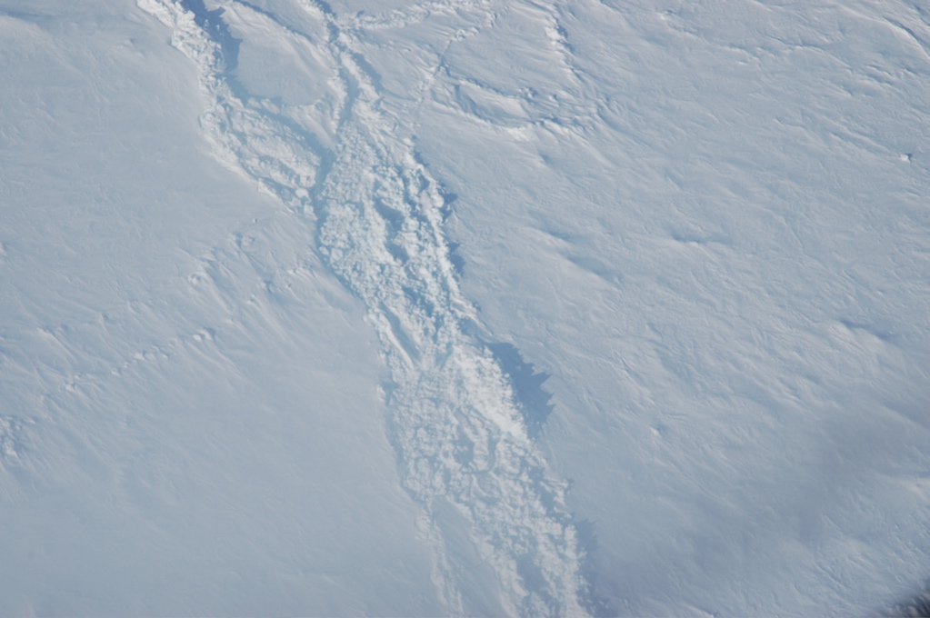 DSC_0537.JPG