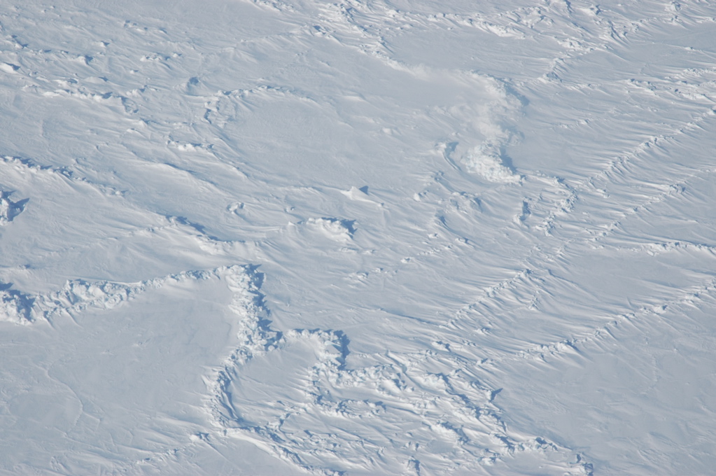 DSC_0539.JPG