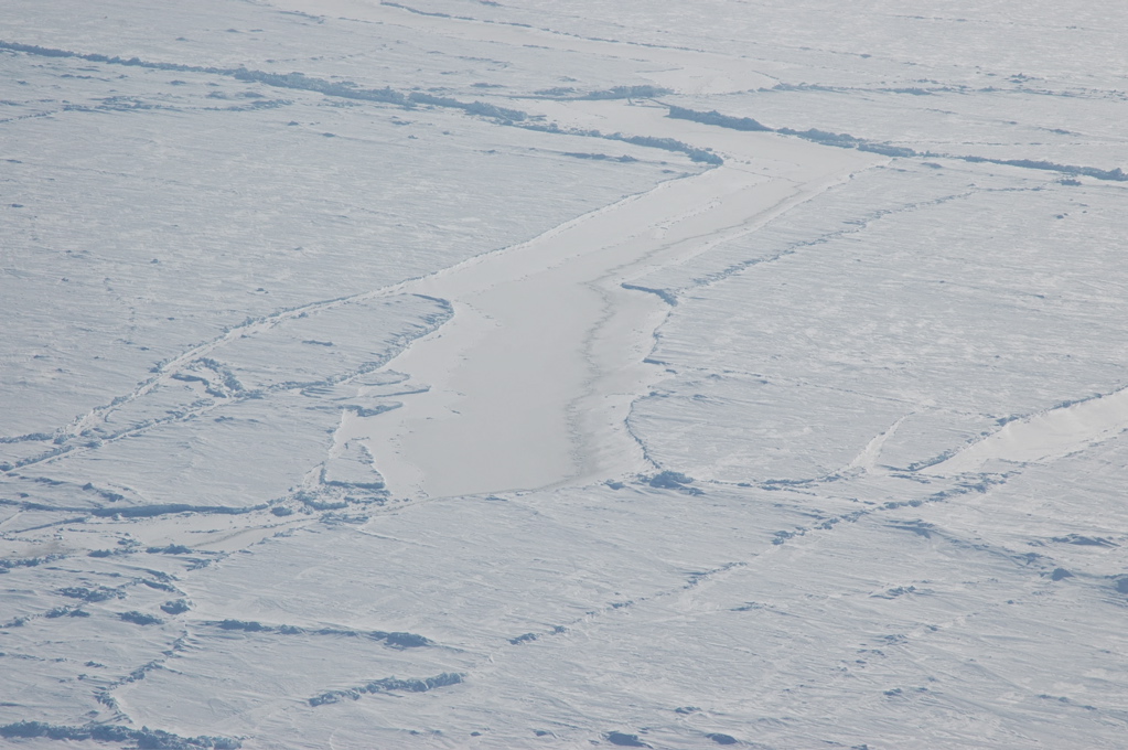 DSC_0542.JPG
