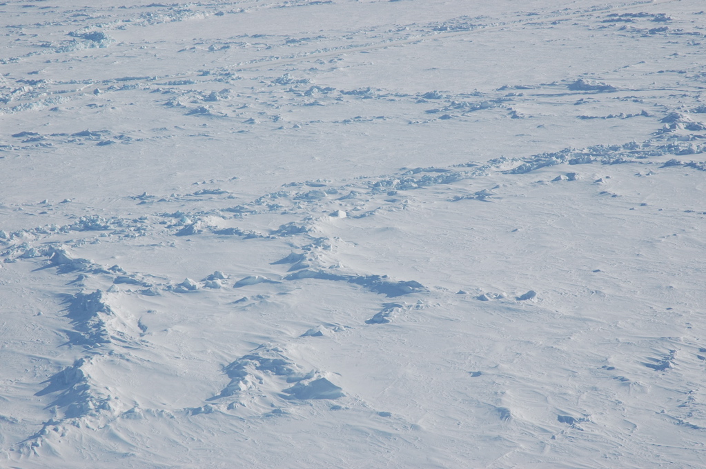 DSC_0545.JPG