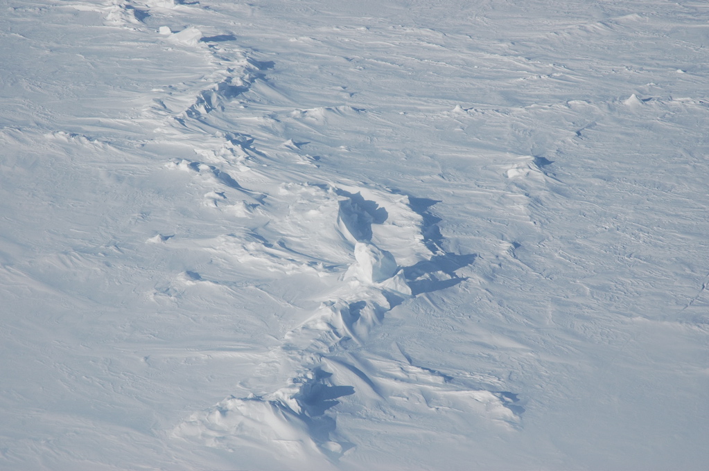 DSC_0549.JPG