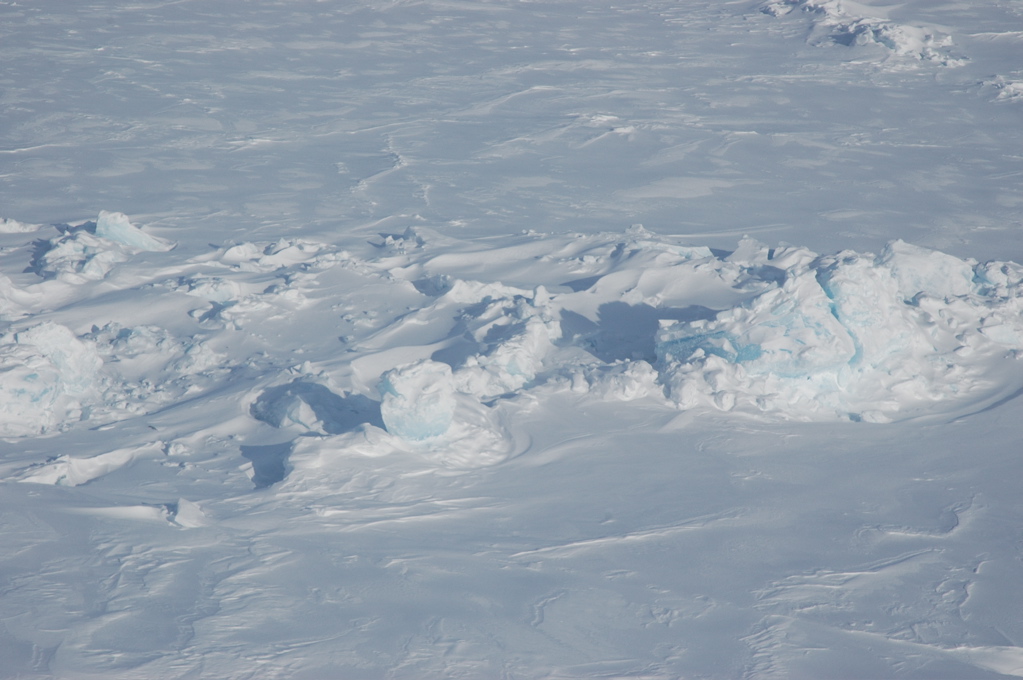 DSC_0555.JPG