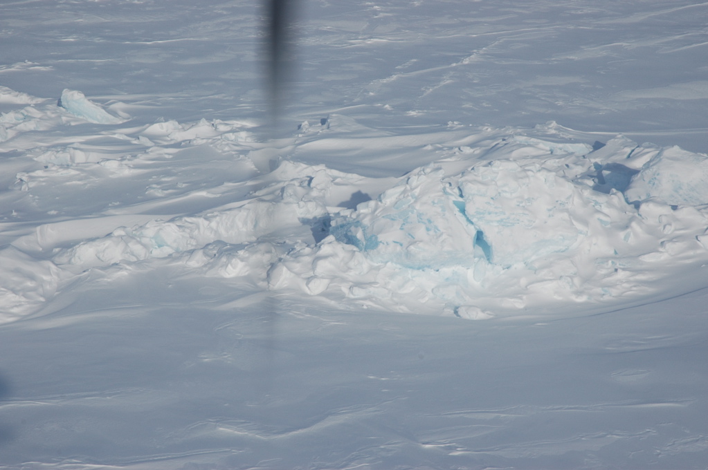 DSC_0556.JPG