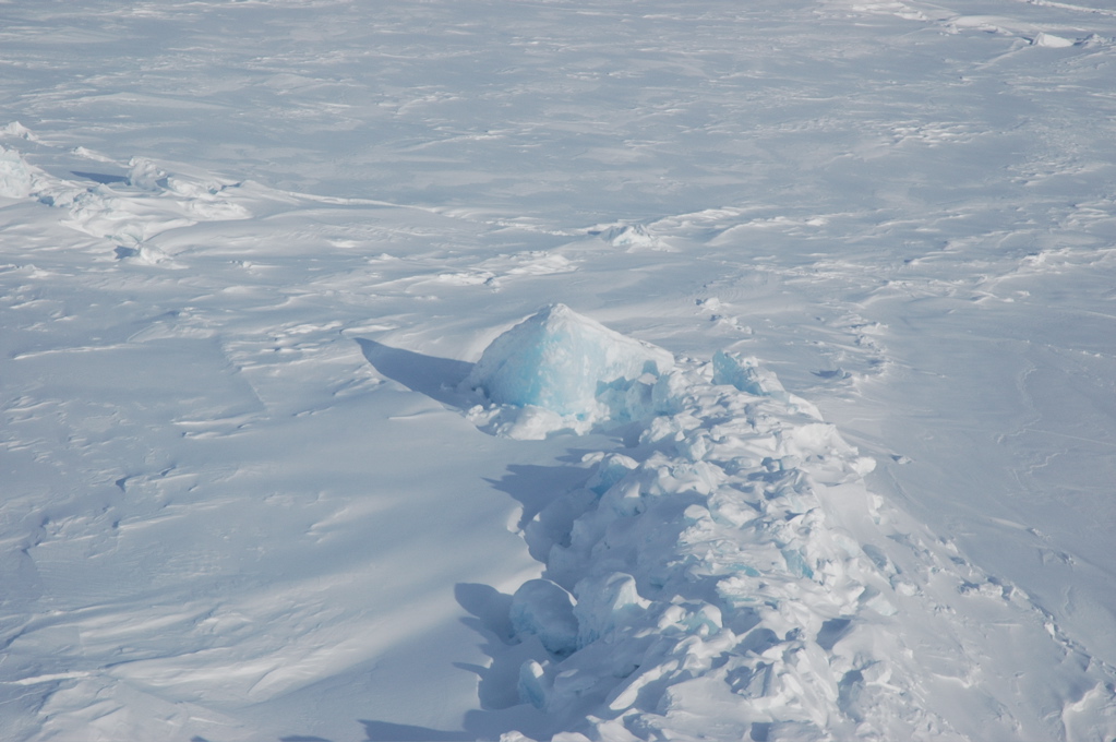 DSC_0557.JPG