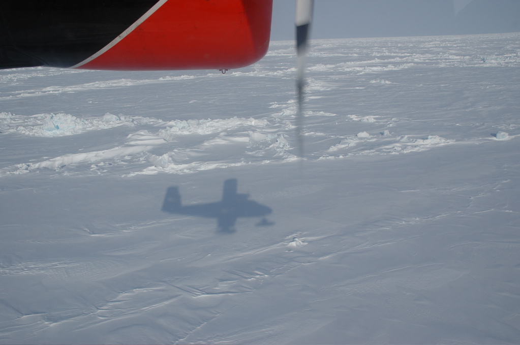 DSC_0558.JPG