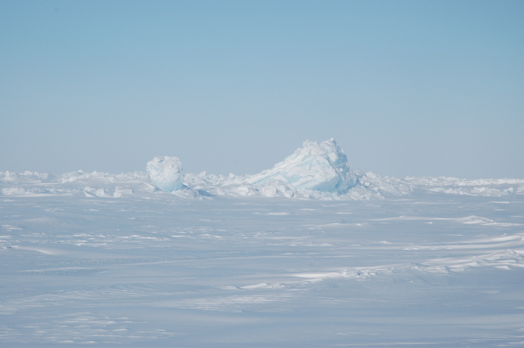 DSC_0569.JPG