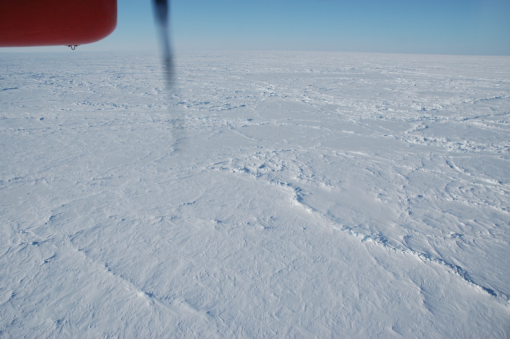 DSC_0591.JPG