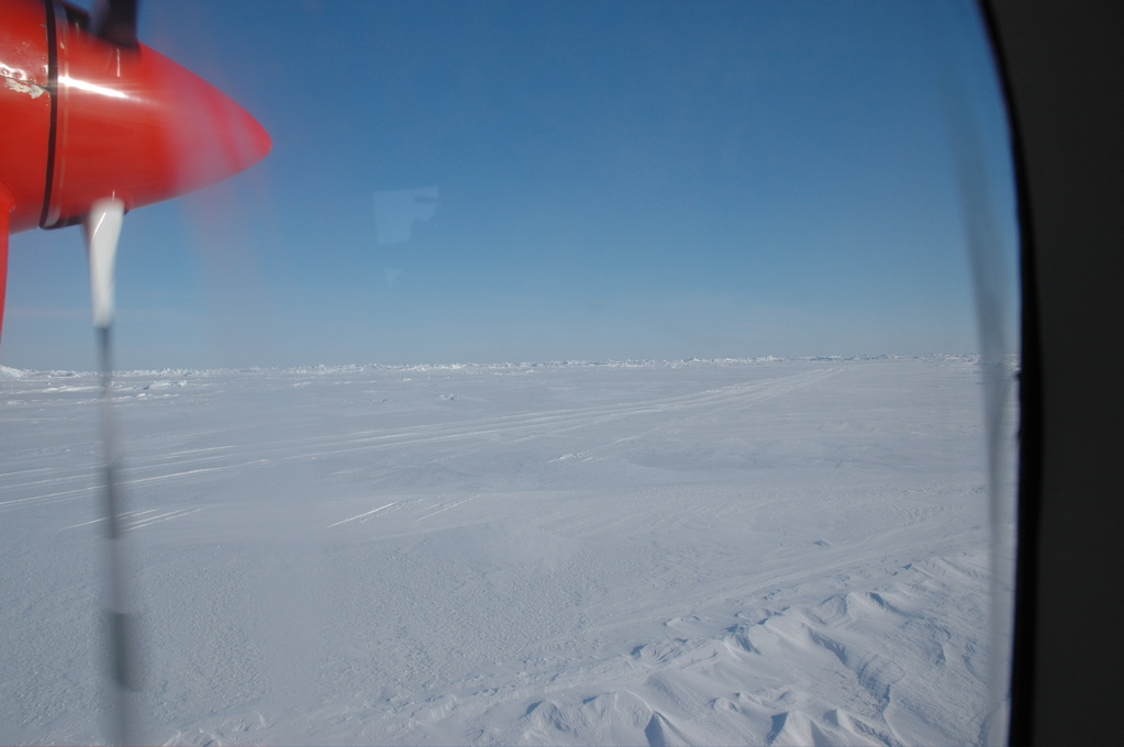 DSC_0597.JPG