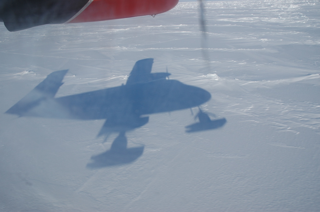 DSC_0600.JPG
