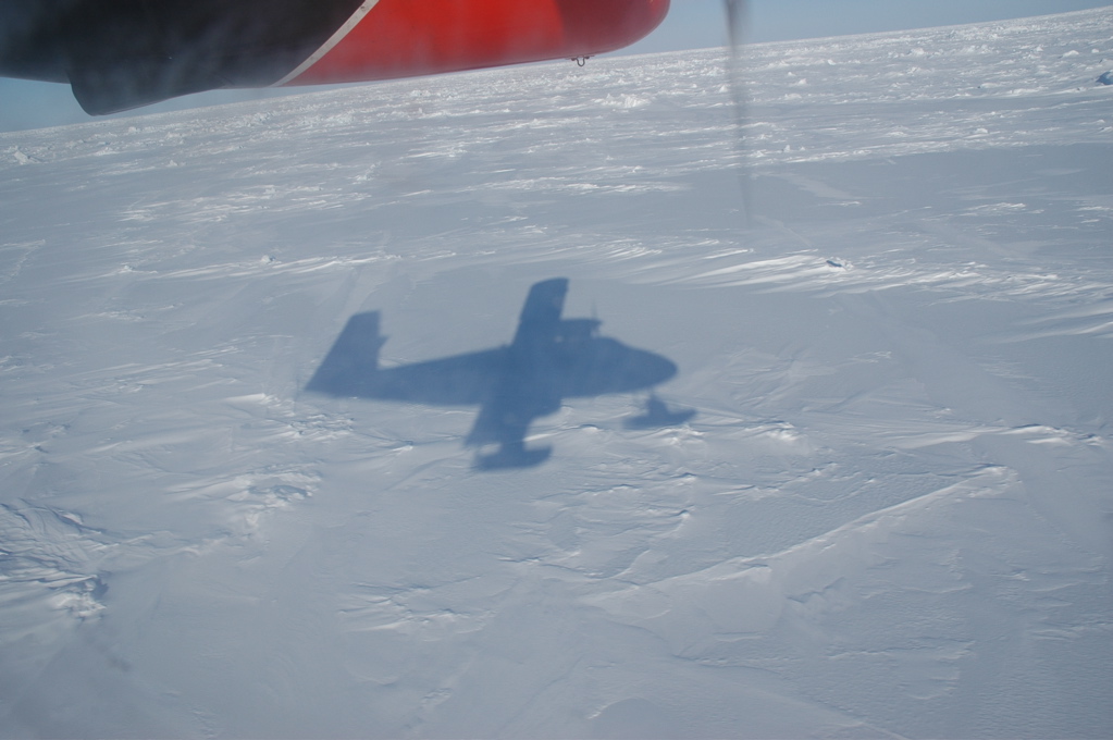 DSC_0603.JPG