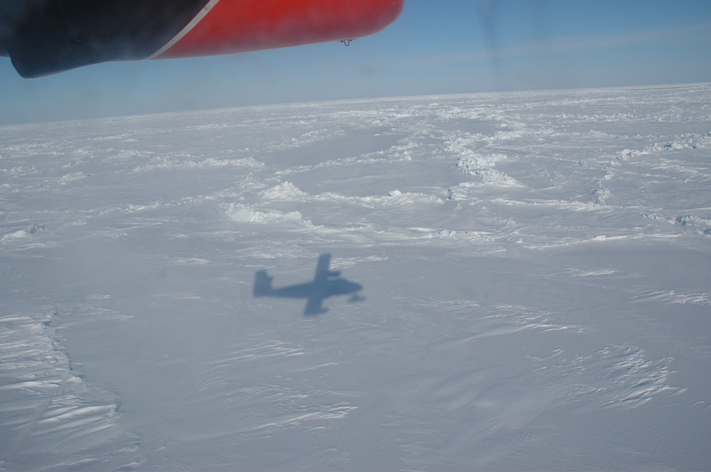 DSC_0605.JPG