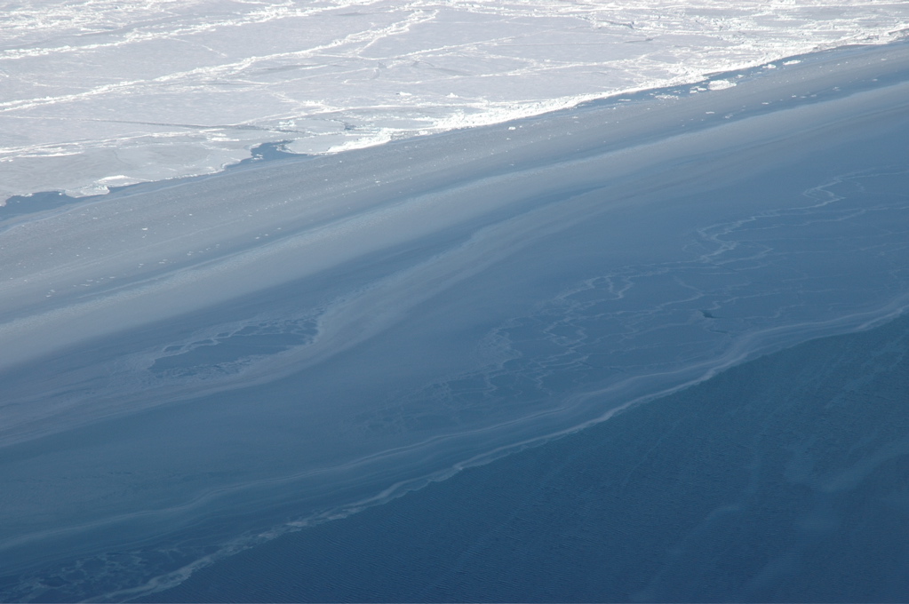 DSC_0613.JPG