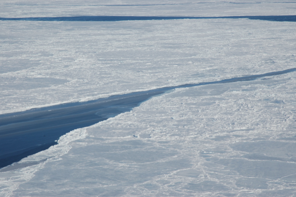 DSC_0614.JPG