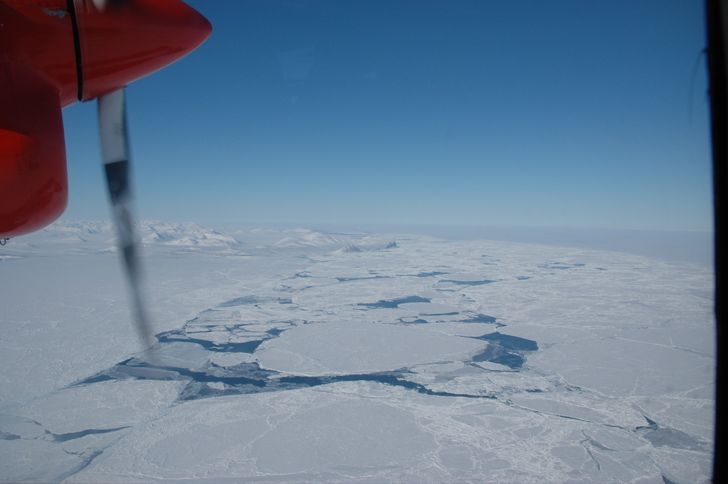 DSC_0620.JPG
