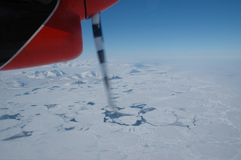 DSC_0623.JPG