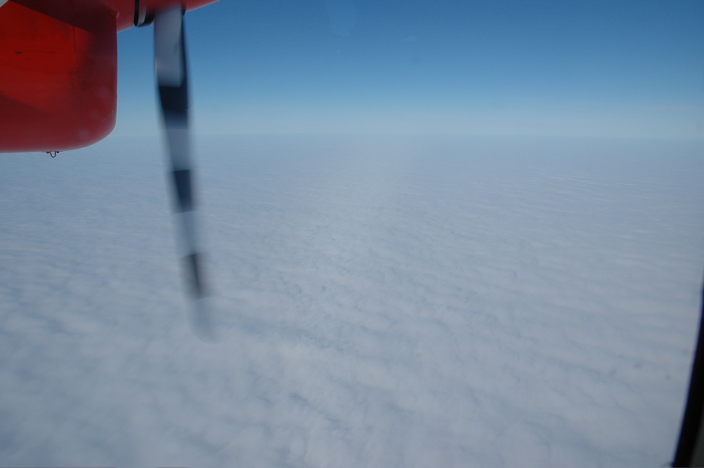 DSC_0626.JPG