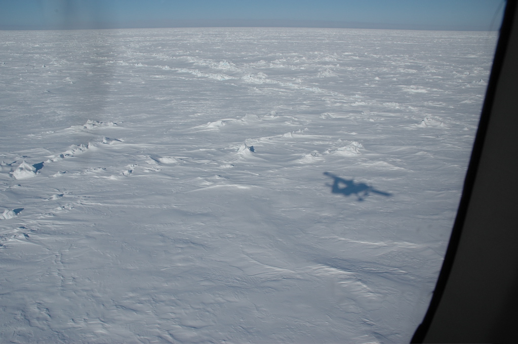 DSC_0631.JPG