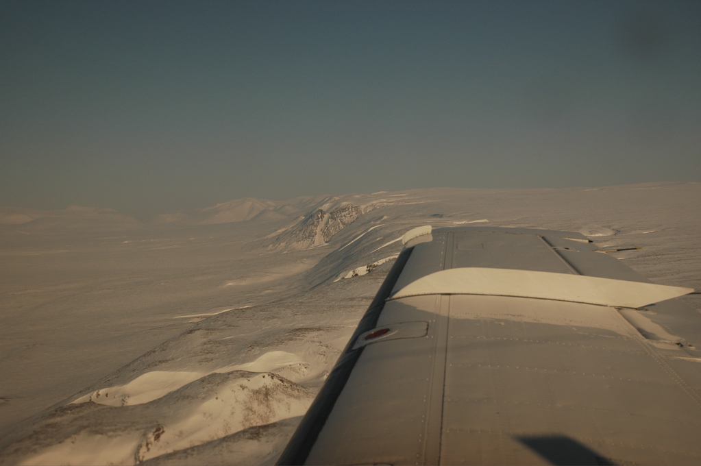 DSC_0485.JPG